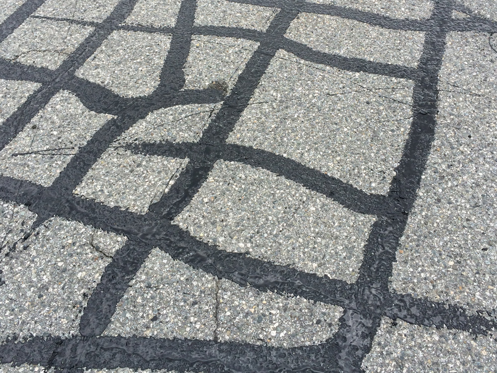 Fraser Valley Asphalt Crack Repair